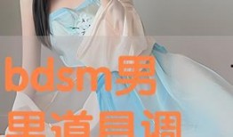 调教视频在线,跟随视频学习高效互动技巧